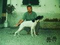 Pedigree JAGA Pedigree JAGA